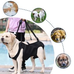 Arnês elevação para cães com suporte corporal para cães idosos feridos deficientes, suprimentos para animais estimação - Image 5