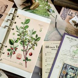 30 pçs retro antigo floresta animais plantas espécime cartão postal vintage criativo escrita cartões postais diar diários diy - Image 2