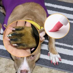 Quick Dry Dog unha polonês caneta, 12 cores, Pet unha polonês para criar unhas bonitas, Girl Pets Grooming, fácil de usar - Image 4