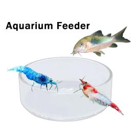 Círculo de alimentação de vidro transparente para aquário Alimentador de tanques de peixes Alimentador de fundo flutuante Acessórios de alimentação de camarão - Image 1
