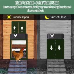 Porta automática do galinheiro para casa, sensor de luz, decoração agrícola prática, frango, animais de estimação, gaiola de pato, alta qualidade - Image 3