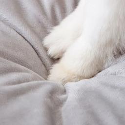 Casa confortável para gatos de algodão, berço quente, fundo antiderrapante, senso de segurança para animais de estimação, feita de algodão com brinquedos interativos - Image 5