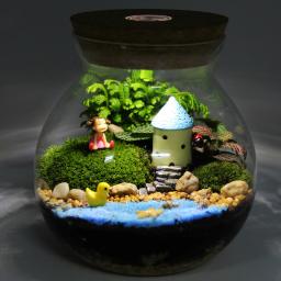 Micro Garrafa De Vidro Paisagem com Luz LED, Bola De Boca, Vaso De Musgo, Terrário Hidropônico, Recipiente Do Tanque De Peixes - Image 5