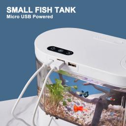 Mini Desktop Aquário Tanque De Peixes Em Miniatura, Sistema De Filtragem Bioquímica, LED Pequenos Organismos Aquáticos, Eco Box, Decoração De Casa - Image 4