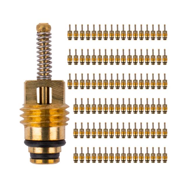 Kit com 100 Válvulas de Núcleo para Veículos Buick e Mondeo - Compatível com Excelle, Sail, GL8, Regal e LaCrosse