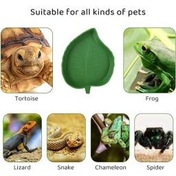 Alimentador de répteis para pequenos animais de estimação, comida e água tigela, tartaruga lagartos, hamsters, cobras, tartaruga, lagartixa, suprimentos para animais - Image 3
