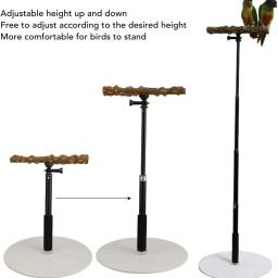Altura ajustável Parrot Poleiro Stand, Suporte para Treinamento Indoor e Outdoor Bird, Toy Parakeet, 12.9-36.2in - Image 5