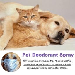 Pet Odor Eliminator Spray, Removedor de cheiro de urina para cães fedorentos, Neutralizador de odores - Image 3