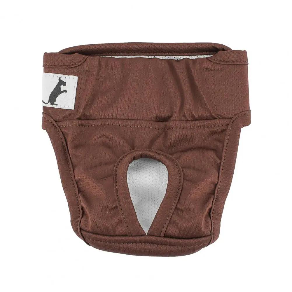 Fralda confortável para cães à prova de vazamento, calça menstrual pet, fita adesiva, fralda absorvente para períodos, treinamento potty incontinência - Image 1