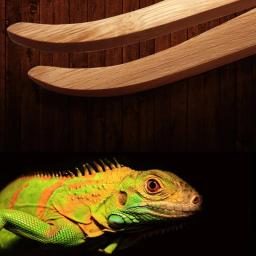 Pinças De Alimentação De Répteis, Pinças De Bambu, Alimentador De Anfíbios, Ferramentas para Lagarto, Lagartixa, Serpente, Aranha, Pássaro - Image 4
