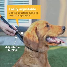 Coleira de dente para cachorro, eficaz para treinamento sem puxar, fivela de liberação rápida, coleira de pitada ajustável, coleira de treinamento para cães grandes - Image 4