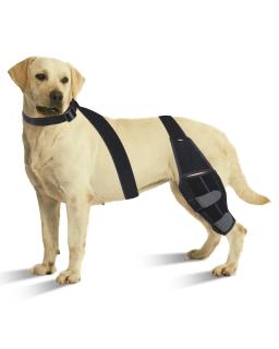 Almofadas de Proteção Ajustável para Animais De Estimação, Leg Brace, Joelho Wrap, Suportes para Cães, Correias de Apoio, Acessórios para Cães - Image 3