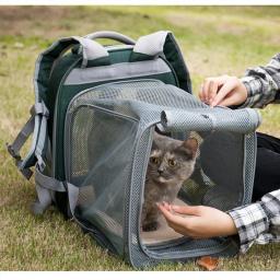 Suprimentos para animais de estimação gato espaço cápsula mochila transportadora ventilar transparente ao ar livre viajar caminhadas transportando expansível - Image 5