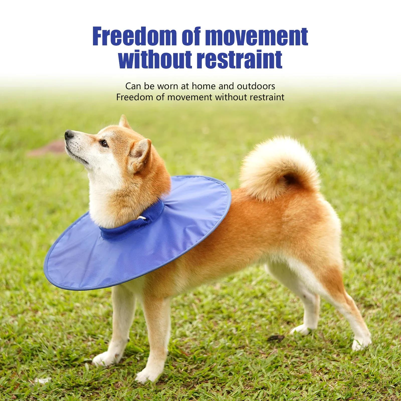 Colar de recuperação de cão respirável ajustável, após a cirurgia, cirurgia anti-mordida, lamber, ferida, pequenos e grandes cães acessórios - Image 1