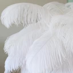 10 pçs natural branco avestruz penas artificiais para decoração 15-70cm festa de casamento plumas decorativas atacado - Image 3