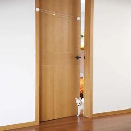 Entrada Automática Auxiliar para Animais de Estimação, Acesso Gratuito, Porta Bidirecional, Porta para Cães e Gatos, Out and Entry, 1 PC - Image 4