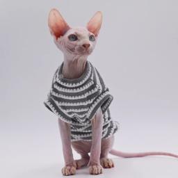 Roupas Sphynx confortáveis e respiráveis para gatos, adequadas para gatos sem pêlos, Devon Rex,Cornish, Kennel, Primavera e Verão - Image 6