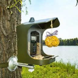 Câmera de observação de pássaros BC-303 câmera de vigilância para animais pequenos com sensor de movimento alimentador de pássaros ao ar livre câmera de pássaros - Image 3