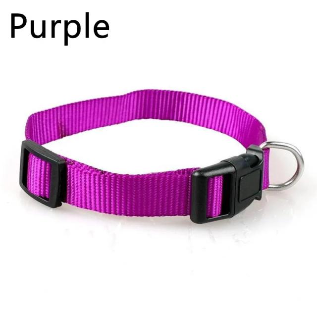 Coleira de Nylon Ajustável para Cachorros e Gatos - Estilo Sólido para Chihuahua e Outros Animais de Estimação, 1 Peça