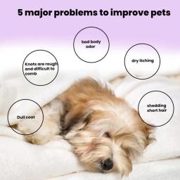 Comprimidos de Banho Natural Pet, Comprimidos De Limpeza Para Cães, Fácil de Usar, Hidratante, Shampoo de Lavanda para Cães, Cheirando Filhotes - Image 2