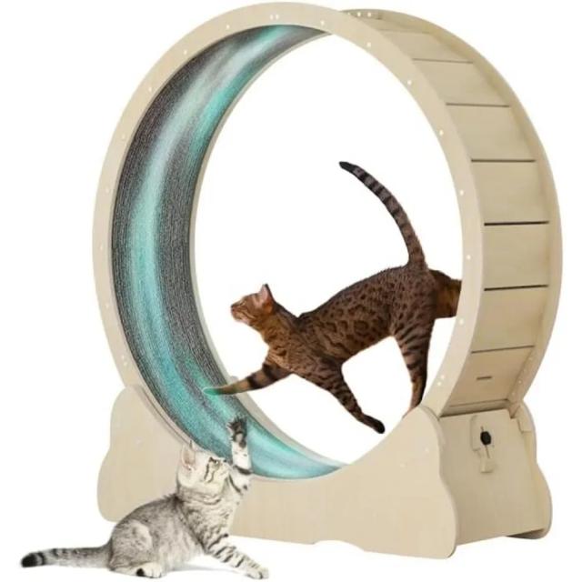 Brinquedos e Acessórios para Gatos: Roda de Exercícios e Produtos para Casa e Jardim