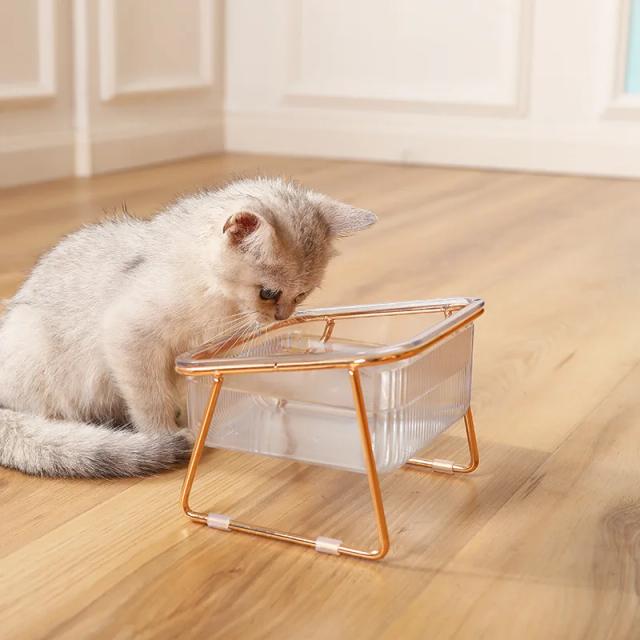 Suporte Elevado para Alimentos e Água com Dupla Tigela Transparente para Gatos e Cães