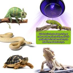 Animal de estimação lâmpada aquecimento e27 noite lâmpada para anfíbio cobra lâmpada calor réptil lâmpada luz uv 25w 50 75 100 AC220-240V - Image 5