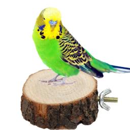 Rodada De Madeira Esquilo Parrot Bird Poleiro, Plataforma Stand para Pet Bird, Chinchilla Parrot, Plataforma De Mergulho De Madeira Pier, Birds Toy - Image 5