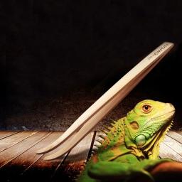 Pinças De Alimentação De Répteis, Pinças De Bambu, Alimentador De Anfíbios, Ferramentas para Lagarto, Lagartixa, Serpente, Aranha, Pássaro - Image 5