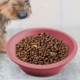 Natal tema dupla face pet alimentação tigela, alimentador lento para comida de gato, Desenhos animados, alimentação suprimentos, comida seca e úmida - Image 3