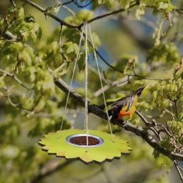 Pendurar enforcamentos Pássaro Alimentador, aves bebendo tigela, Quintal Decoração, Forma de Flor Alimentando Recipiente, Pássaro selvagem Pólo Alimentar, Pet Suprimentos - Image 2
