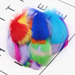 100 pçs/lote 3-5 polegada penas naturais colorido pena para festa de casamento roupas decoração plumas para artesanato jóias casa diy - Image 2