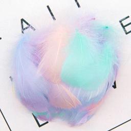 100 pçs/lote 3-5 polegada penas naturais colorido pena para festa de casamento roupas decoração plumas para artesanato jóias casa diy - Image 1
