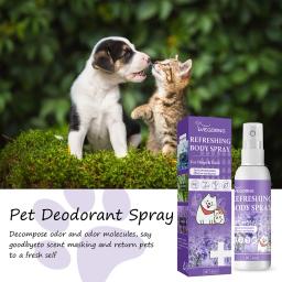 Desodorante de óleo de lavanda para animais, remove odor, desodorizante para cães, limpeza de fezes, suprimentos para cães fedorentos, 50ml - Image 5