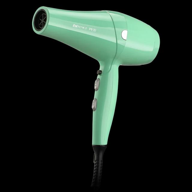 Secador de Cabelo Fenice para Animais de Estimação: Potente, Silencioso e Ideal para Banho de Gatos e Cães com Secagem Rápida