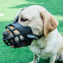 Focinho de cão ajustável com tira reflexiva, Forte respirável anti-morder cão boca capa, Plástico pode beber água - Image 2