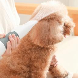Dog Grooming Cabelo Secador, Cachorro, Cão De Secagem Escova, Pente De Cabelo, Cabeleireiro, Puxando Máquina, Ventilador, Cão Acessórios, 110V, 220V - Image 6