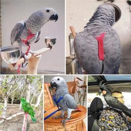 Trela ajustável para animais de estimação, pássaro, papagaio, tiras de tração voadora ao ar livre, corda de treinamento anti-mordida, acessórios para pombos - Image 5