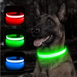 Coleira Luminosa USB Recarregável para Animais de Estimação, LED ajustável, Coleira de cão brilhante, Grande, Pequeno, Cat Night Light - Image 1