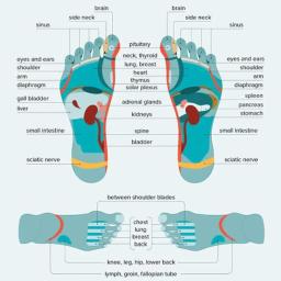 Acupressure Reflexology Meias com Ferramenta de Massagem, Reutilizável Pé Pain Relief, Aliviar os pés cansados, Spa Meias - Image 3