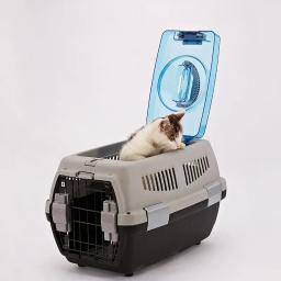 Pet Air Transport Pet Cage, Caixa plástica para cães grandes, Portadora de viagens portátil - Image 3