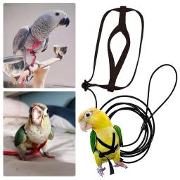 Trela ajustável para animais de estimação, pássaro, papagaio, tiras de tração voadora ao ar livre, corda de treinamento anti-mordida, acessórios para pombos - Image 2