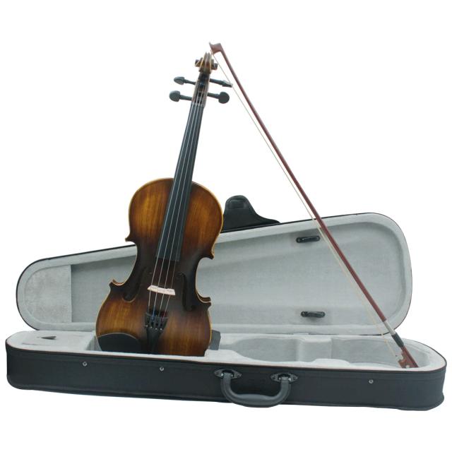 Violino Matte IRIN AV-206 com Case e Arco, Conjunto Profissional para Iniciantes em Basswood