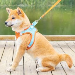 Coleira para cães de estimação, conjunto reflexivo respirável, arnês ajustável, confortável, arnês para filhotes, viagens ao ar livre, suprimentos para animais de estimação - Image 4
