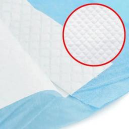 Fraldas descartáveis para cães e gatos, esteira de urina, treinamento do filhote, superfície absorvente de secagem rápida, limpeza desodorante, Pet Shop, 20 PCs, 50 PCs, 100PCs - Image 3