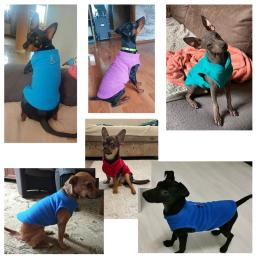 Jaqueta de lã para cães pequenos, roupa de cachorro, roupa de cachorro, traje de pug, colete chihuahua, Yorkie Kitten, inverno - Image 2