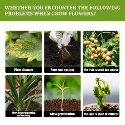 Raiz de enraizamento rápido crescimento, Enhancer crescimento vegetal, Promove Suplemento, Fontes de jardim, Planta de flor, Árvore frutíferas - Image 4
