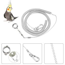 Pássaro pé corrente papagaio anti-voando corda de tração pássaro pés pulseira liga pé anel pet pássaro voando viagem treinamento trela - Image 4