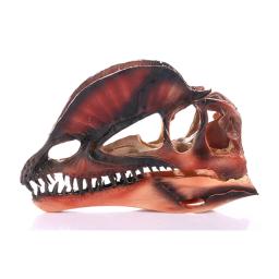Modelo de dinossauro dilophosaurus resina artesanato cabeça crânio dinossauro fóssil esqueleto animal crânio estátuas artesanato ornamento adereços - Image 4