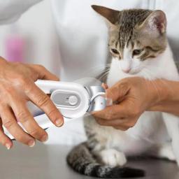 Aparadores de unhas portáteis para animais de estimação, ferramenta aparadores com LED, cortadores de unhas para filhotes pequenos e médios e coelhos - Image 2